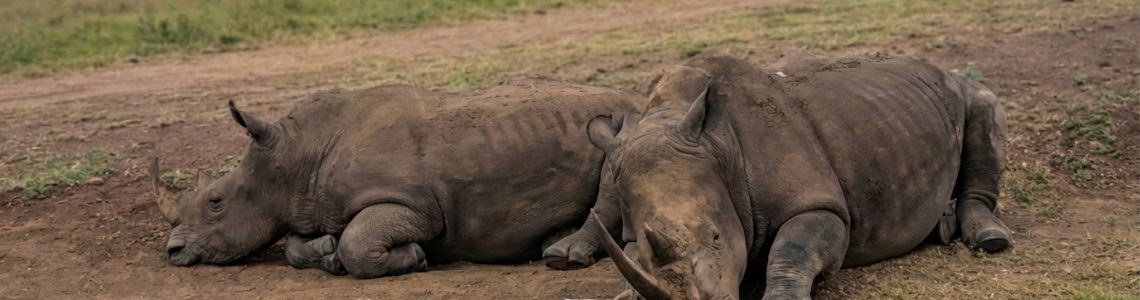 Jacliz National Park EDIT